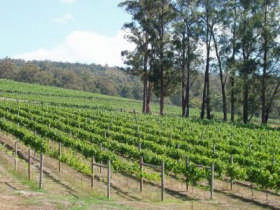 Piedmont Vineyard - Hotel Accommodation 0