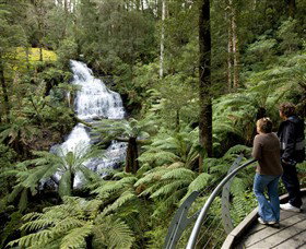 Great Otway National Park - Hotel Accommodation 0