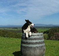 Windy Ridge Vineyard and Winery - Hotel Accommodation