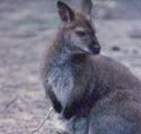 Churchill National Park - Hotel Accommodation