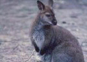 Churchill National Park - Hotel Accommodation 0