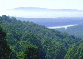 Kalorama VIC Hotel Accommodation