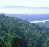 Kalorama Park - Hotel Accommodation