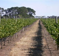Mount Beckworth Wines - Hotel Accommodation