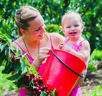 Cherryhill Orchards - Hotel Accommodation