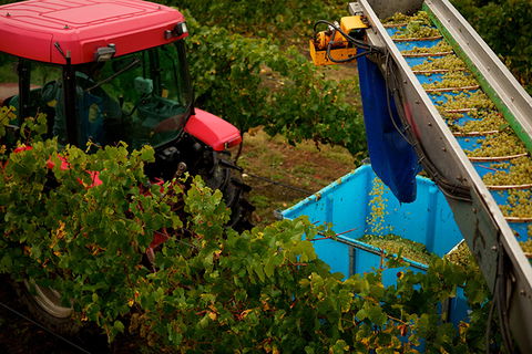 GREENSTONE VINEYARDS - Hotel Accommodation 3