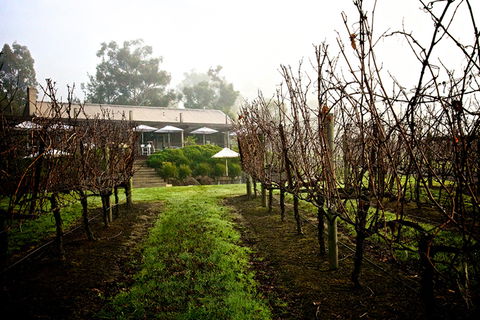 GREENSTONE VINEYARDS - Hotel Accommodation 4