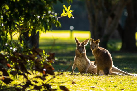 Club Catalina - Hotel Accommodation 2