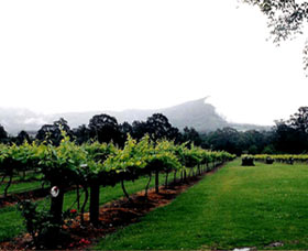 Cambewarra Estate Wines - Hotel Accommodation 0