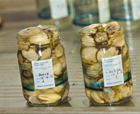 Broadwater Oysters - Hotel Accommodation 0