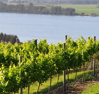 Two Figs Winery - Hotel Accommodation