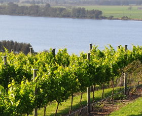 Two Figs Winery - Hotel Accommodation 0