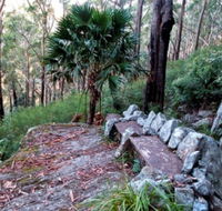 Wodi Wodi Walking Track - Hotel Accommodation