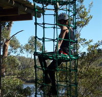 Trees Adventure Shoalhaven - Hotel Accommodation
