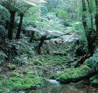 Deua National Park - Hotel Accommodation
