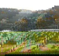 Tilba Valley Wines - Hotel Accommodation