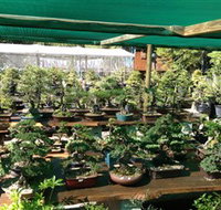 Bonsai at the Bay - Hotel Accommodation