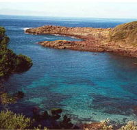 Bass Point Reserve - Hotel Accommodation