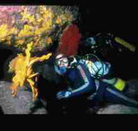 Solitary Islands Marine Park - Hotel Accommodation