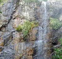 Wedding Bells Forest Drive - Hotel Accommodation