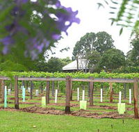 Douglas Vale Historic Homestead  Vineyard - Hotel Accommodation
