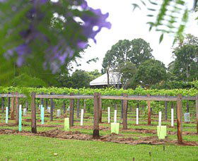 Douglas Vale Historic Homestead & Vineyard - Hotel Accommodation 0