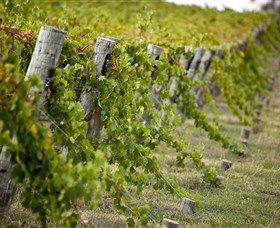 Moothi Estate Vineyard And Cellar Door - Hotel Accommodation 1