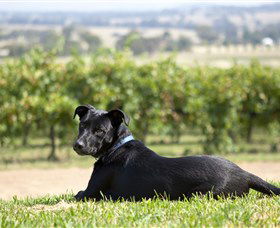 Moothi Estate Vineyard And Cellar Door - Hotel Accommodation 0