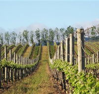 Philip Shaw Wines - Hotel Accommodation