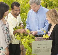 Jacob's Creek Vineyard Tour - Hotel Accommodation