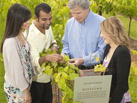 Jacob's Creek Vineyard Tour - Hotel Accommodation 0