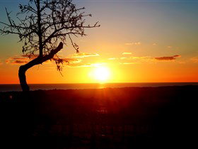 Rocky Ridge Vineyard And Cellar Door - Hotel Accommodation 0