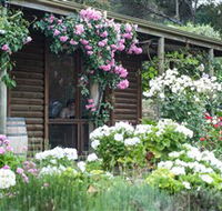 Lavina Wines - Hotel Accommodation