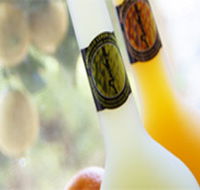 Ambra Limoncello - Hotel Accommodation