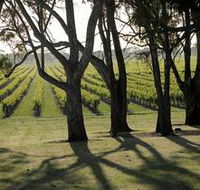 Henry's Drive Vignerons - Hotel Accommodation