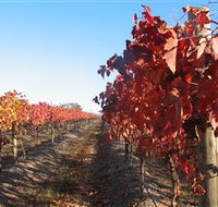 Kooyonga Creek Wines - Hotel Accommodation