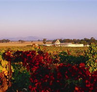 Morris Wines - Hotel Accommodation