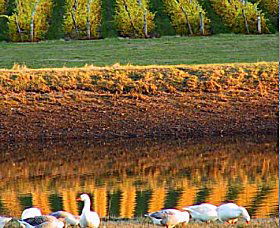 Pipers Brook TAS Hotel Accommodation