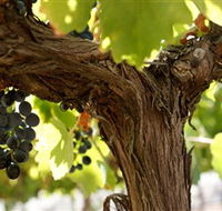 Blackjack Vineyards - Hotel Accommodation