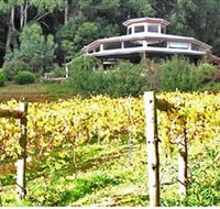 Peveril Vineyard/Beechy Berries - Hotel Accommodation