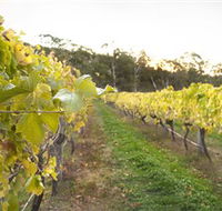 Harcourt Valley Vineyards - Hotel Accommodation