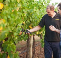 Fratin Brothers Vineyard - Hotel Accommodation