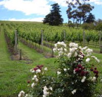 Pembroke Estate Vineyard - Hotel Accommodation