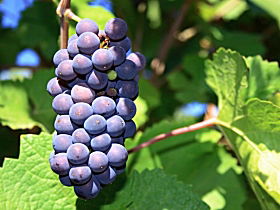 Tinderbox TAS Hotel Accommodation