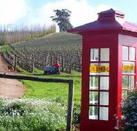 Dalrymple Vineyards