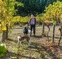 Little River Wines of Taggerty - Hotel Accommodation