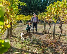 Little River Wines Of Taggerty - Hotel Accommodation 0