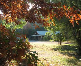 Little River Wines Of Taggerty - Hotel Accommodation 4