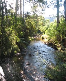 Little River Wines Of Taggerty - Hotel Accommodation 5