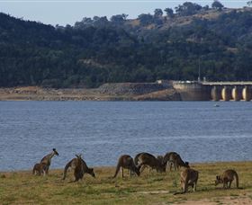 Inland Waters Holiday Parks Wyangala Waters - Hotel Accommodation 3